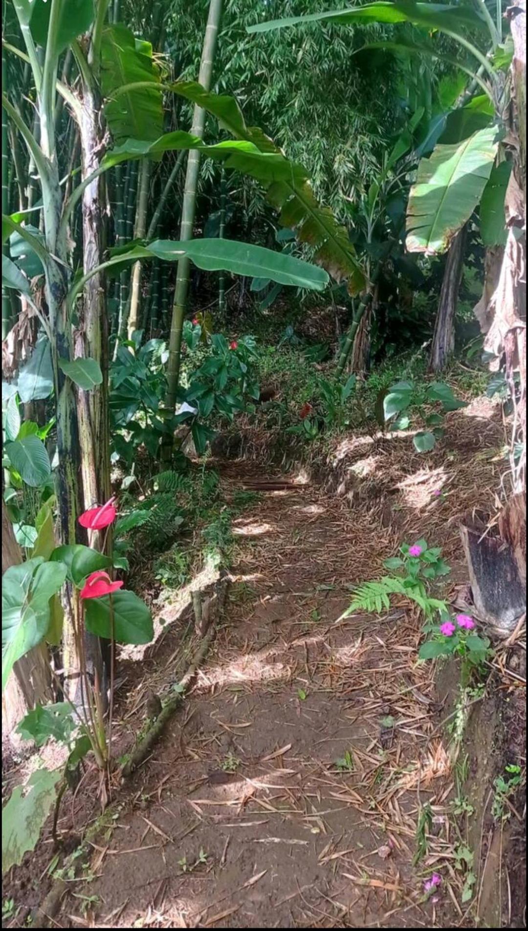 Alojamiento Rural Jardín Consentido Exterior foto