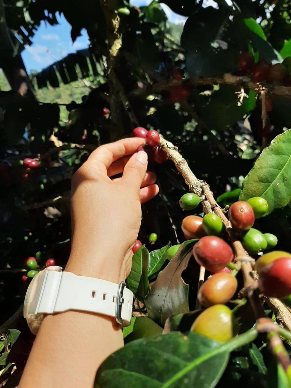 Alojamiento Rural Jardín Consentido Exterior foto
