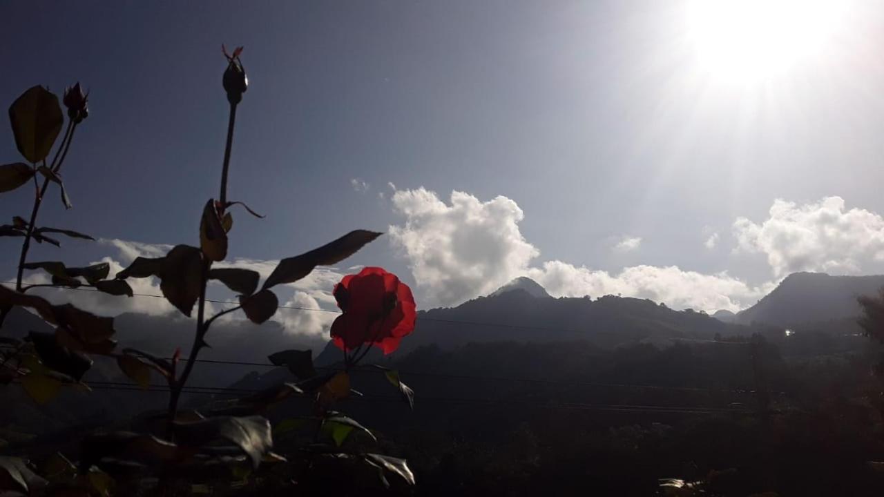 Alojamiento Rural Jardín Consentido Exterior foto