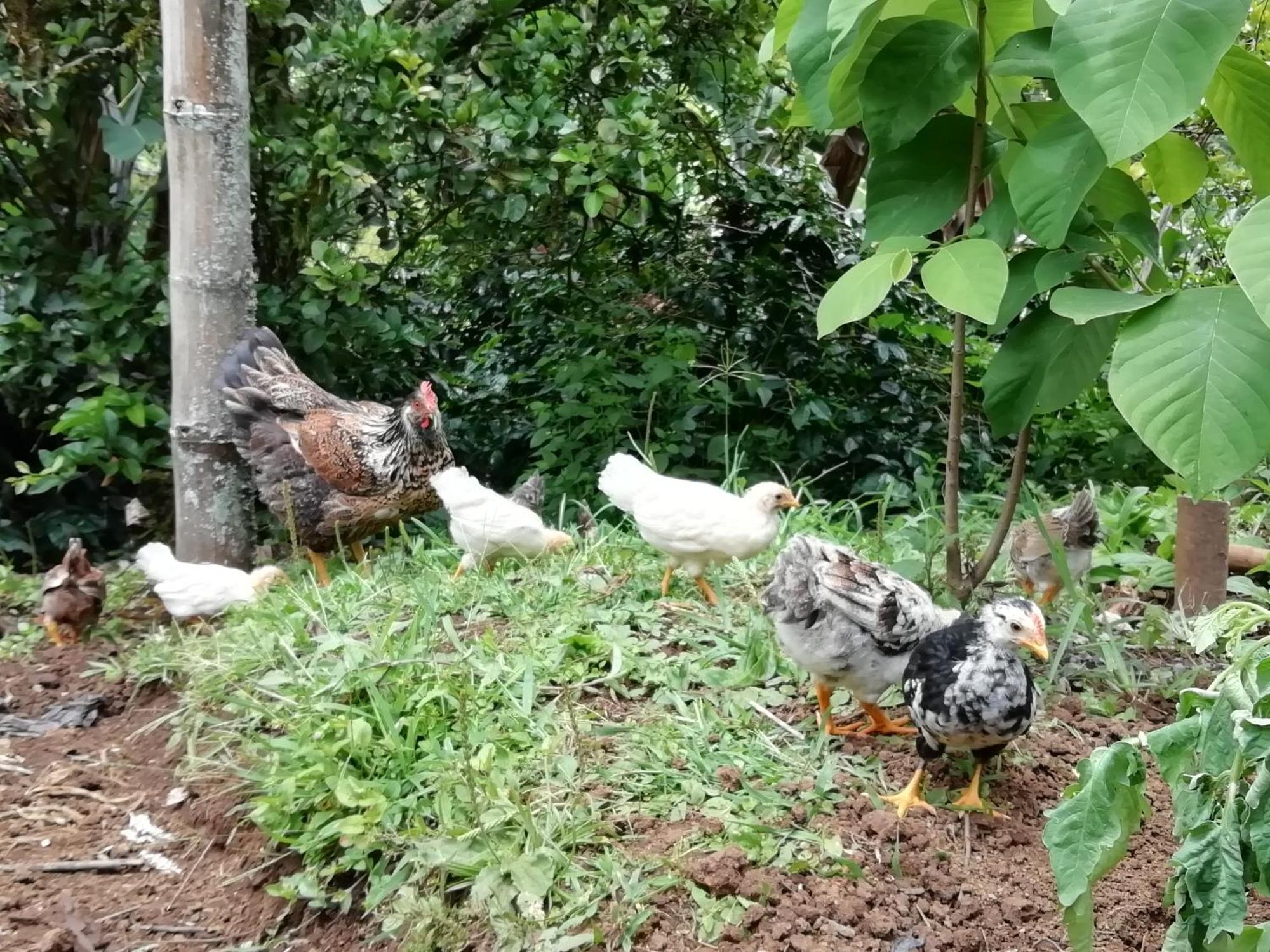 Alojamiento Rural Jardín Consentido Exterior foto